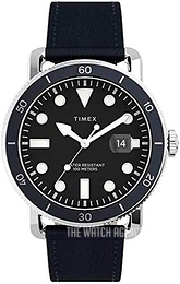 timex tw2r56100