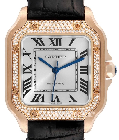 cartier-WJSA0007_j.jpg