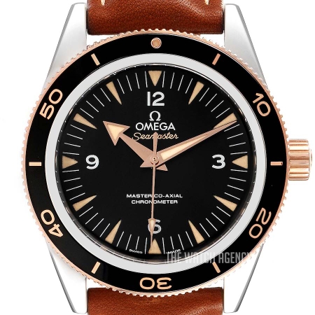 Omega Seamaster Diver 300m Master Co 
