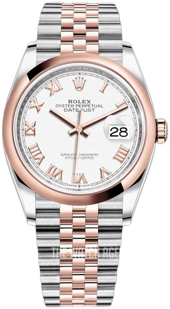 rolex 126201